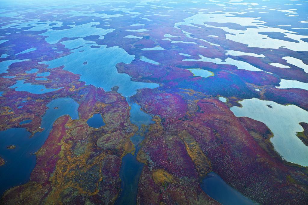 Peterson'S Point Lake Lodge Yellowknife Luaran gambar