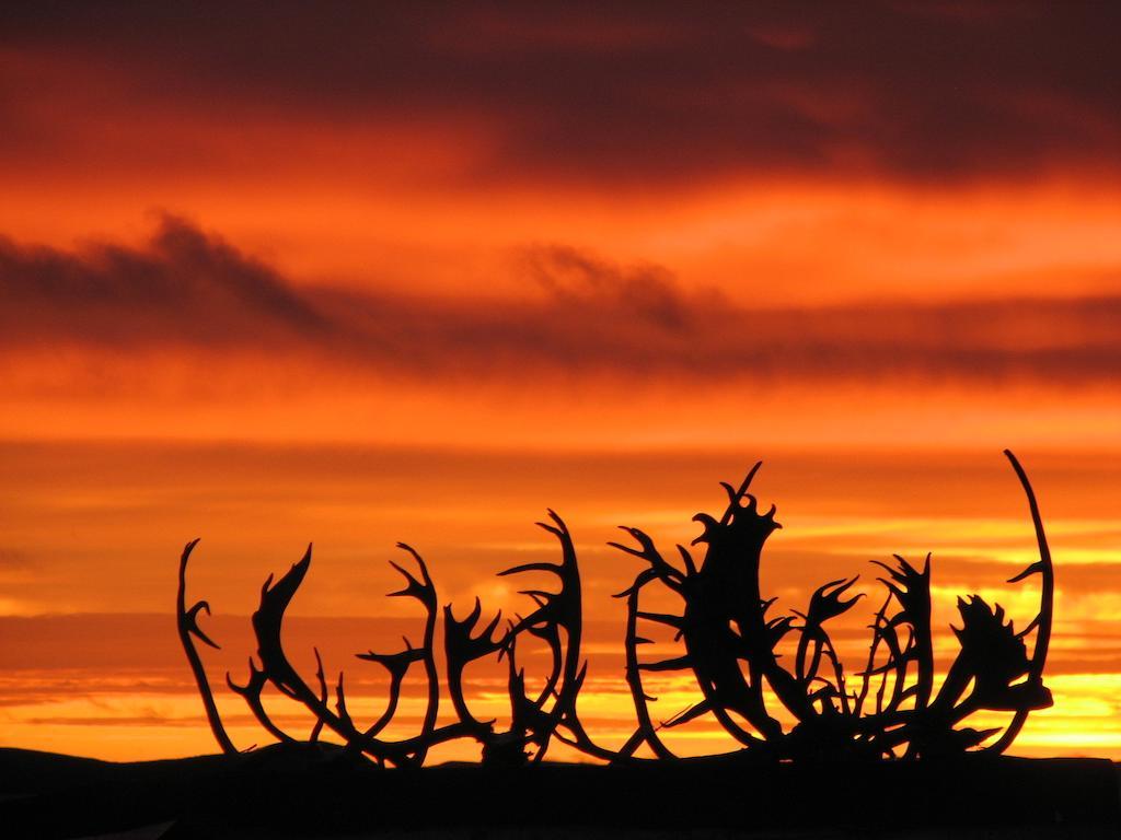 Peterson'S Point Lake Lodge Yellowknife Luaran gambar